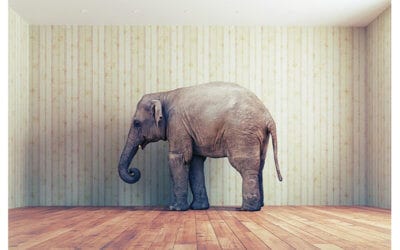 Data Integrity The Key to Operational Insights or an Elephant in the Room?